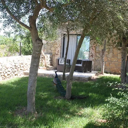 Hotel Es Raco De Maria 3*