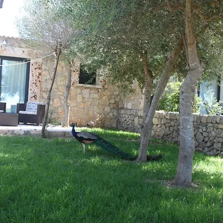 Es Raco De Maria Hotel 3*